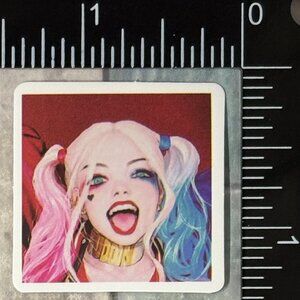 🌀10/$10🌀 The Joker Harley Quinn Reusable Waterproof Vinyl Sticker Decal